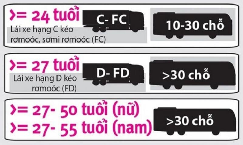 Độ tuổi học bằng lái xe ô tô cho hạng C