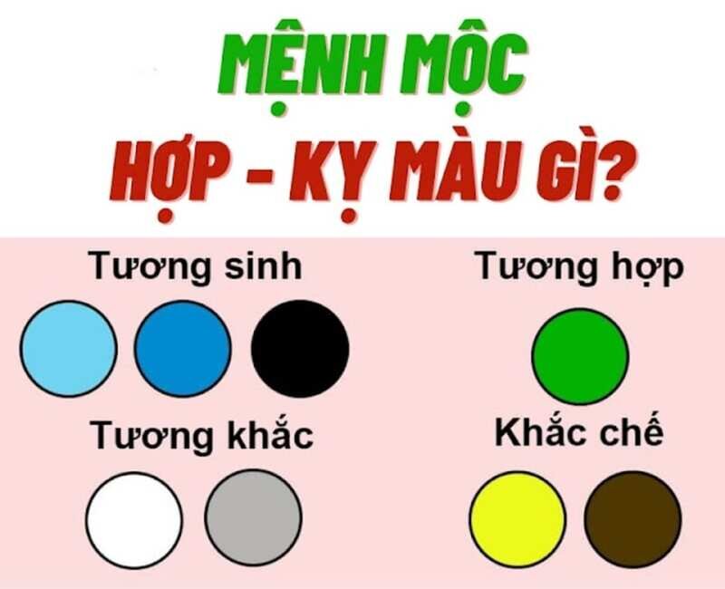 Các màu sắc hợp và không hợp đối với người mệnh mộc