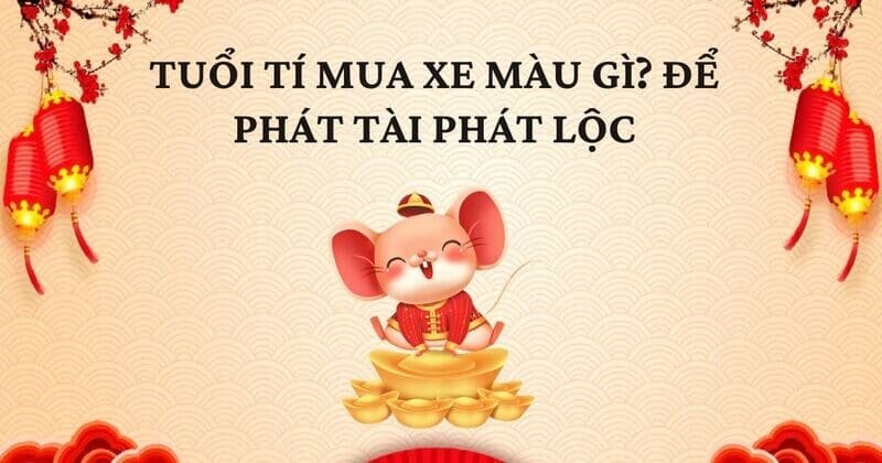 Tuổi Tý mua xe hợp màu gì? Đây là câu hỏi của rất nhiều người khi quyết định mua xe