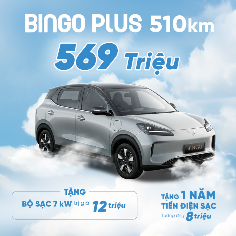 bingo ev