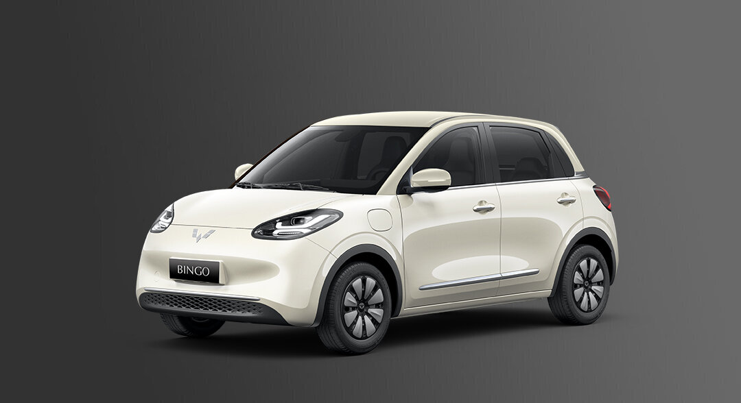 333 lv 1 chéo trái.jpg