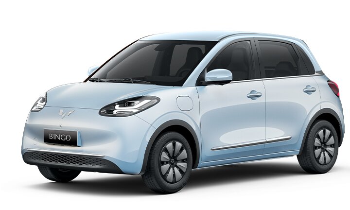 bingo-plus.ac30194c copy.jpg