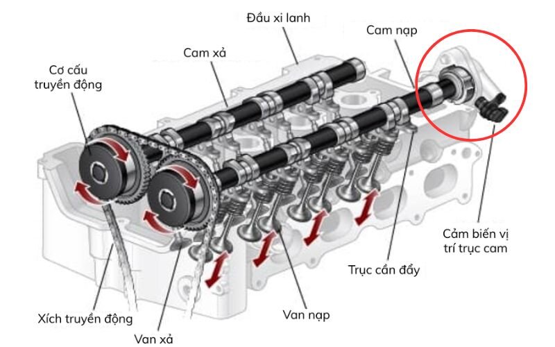 Cảm biến vị trí trục cam CPS xác định thời điểm mở và đóng van nạp, xả